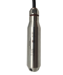 BOY-WR04-S Ip68防水液位压力变送器4-20mA & RS485输出潜水压力传感器 - Product Image 2