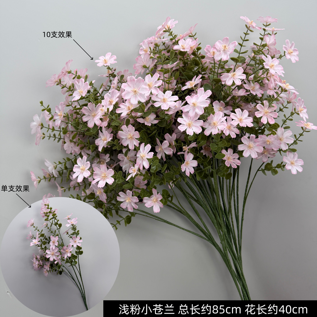 Light pink freesia
