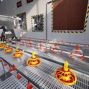 Nhà Máy Giá của gia cầm tự động hệ thống cho ăn Gà Thịt và chăn nuôi Pan <span class=keywords><strong>Feeder</strong></span> - Product Image 4