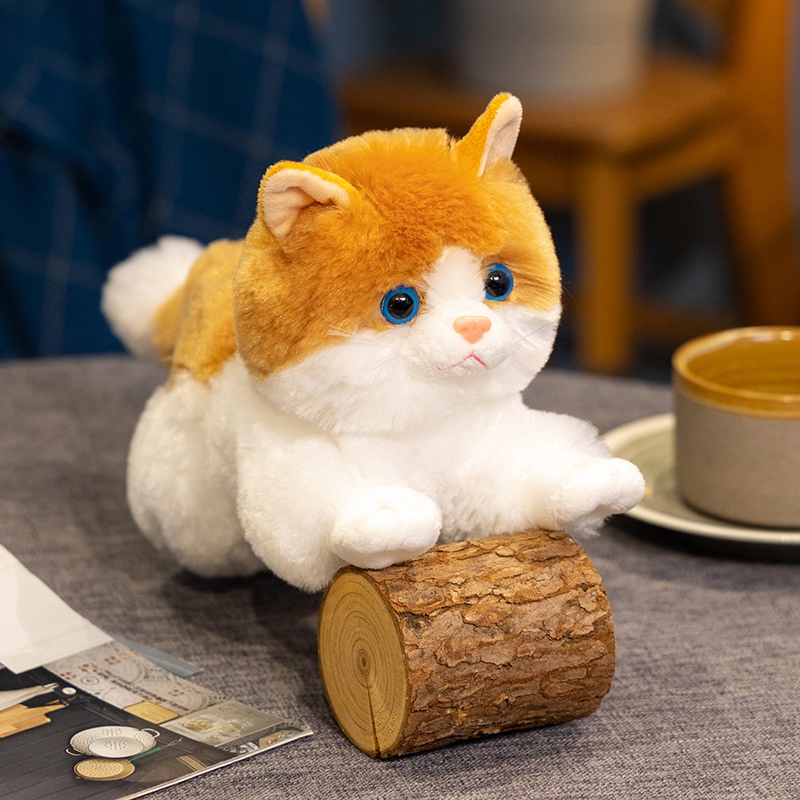 Chat roux