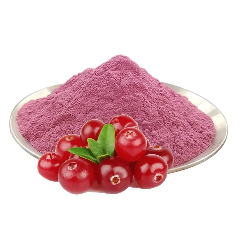 Polvere di succo di mirtillo rosso di alta qualità succo di frutta di mirtillo rosso in polvere polvere di mirtillo rosso