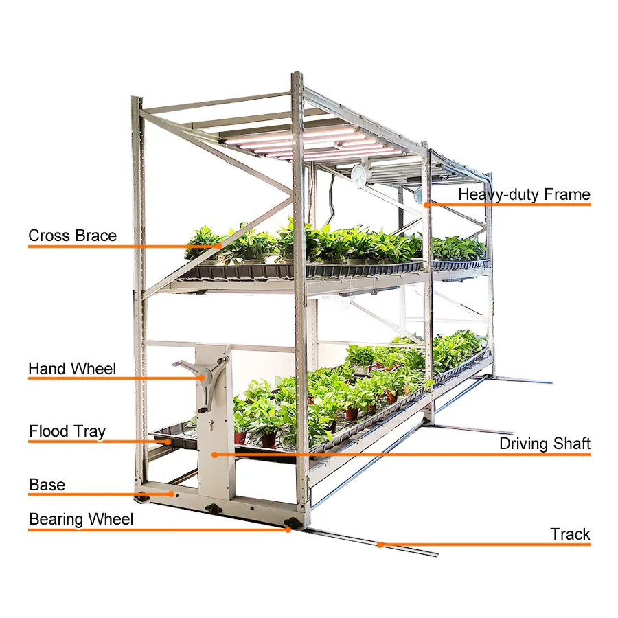 Sistemi di coltivazione mobile su misura disponibili per agricoltura verticale con cremagliere a fungo