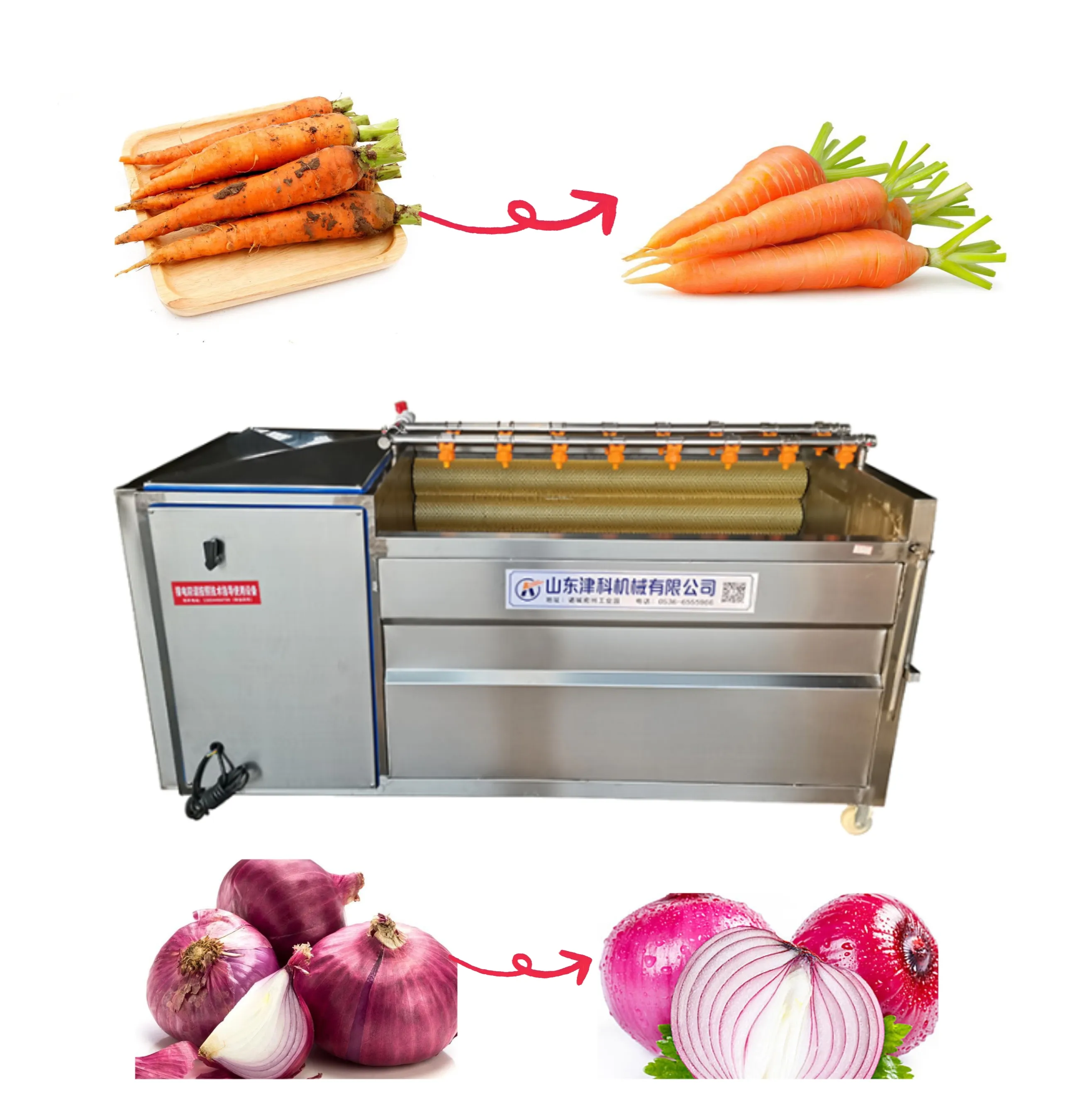 Machine à laver les légumes à brosse Machine à éplucher le gingembre Pomme de terre Carotte Manioc Machine à éplucher les légumes Machine de nettoyage