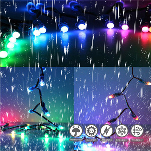 Ip65 Waterproof Dc5V 12V Digital Rgb Color 10Mm Ws2811 <strong>Ic</strong> Christmas String <strong>Lights</strong> <strong>Led</strong> Module <strong>Light</strong> <strong>Led</strong> Pixel <strong>Light</strong> - Product Image 5