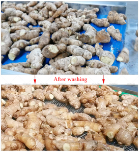 <strong>Apple</strong> Washing Machine and Drying Line Industrial Carrot Ginger Cleaning Machine Mango Washing Machine - Product Image 5