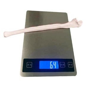 Tıbbi bilim için yüksek kaliteli Normal boyutlu insan Ulna modeli tek kemik - Product Image 3