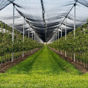 Nhà máy trực tiếp tùy chỉnh-thực hiện Polyethylene (PE) nhựa nông nghiệp chim lưới chống mưa đá nettinganti-bird Net - Product Image 4