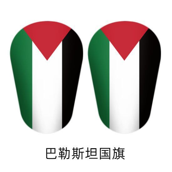 bandera palestina