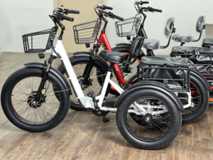 2024 mới-Nâng cấp 48V pin lithium 1000W Xe đạp điện chất béo núi Ba Bánh Điện - Product Image 5