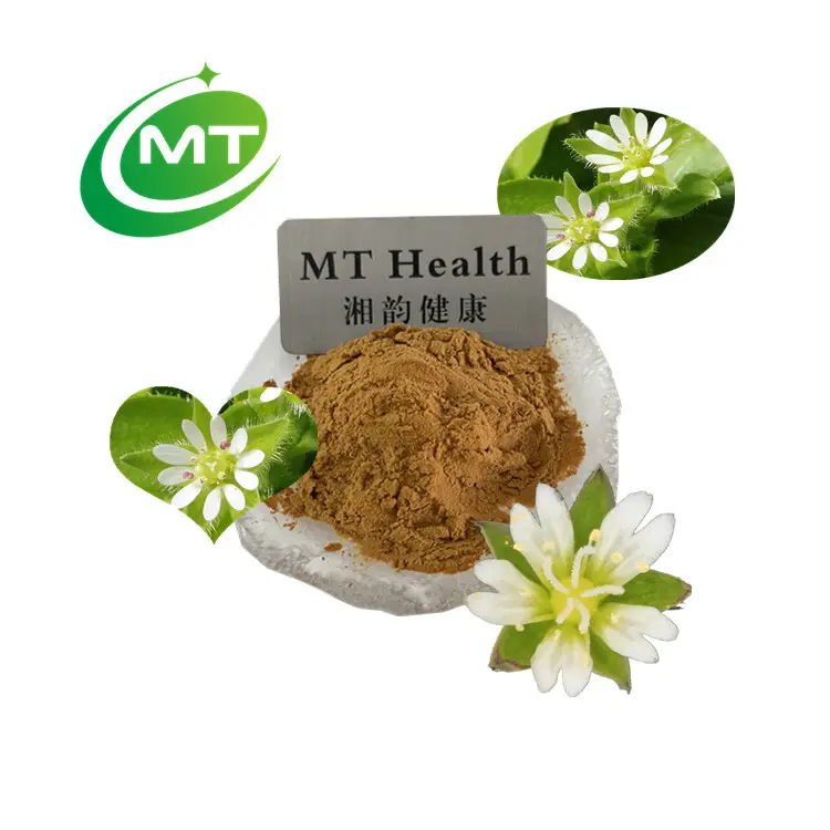 Muestra gratis Venta caliente Pure Nature Organic Chickweed Herb extract Stellaria media Extract Powder 10:1 Extracto de chickweed Bulk