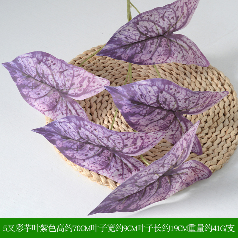 Couleur taro leaf purple