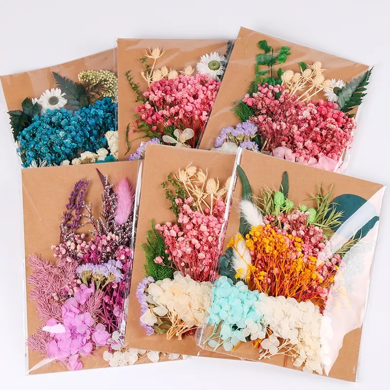 Suporte para material primário personalizado, secas de flores feitas à mão foto moldura diy 1 caixa materiais secos