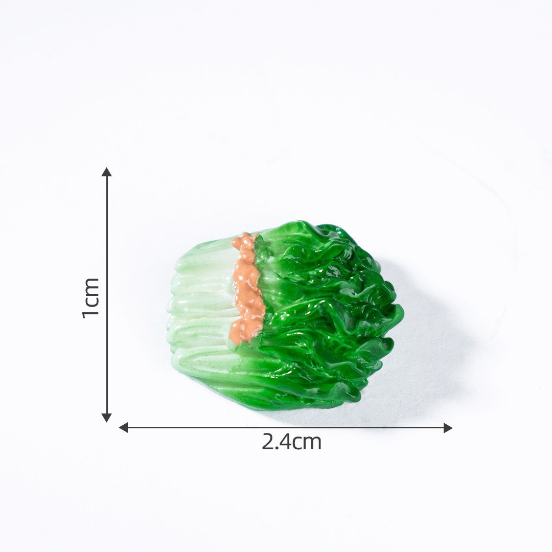 colorful 7 Oyster sauce lettuce
