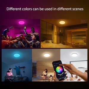 Модный простой 20 Вт 12-дюймовый светодиодный умный потолочный светильник RGB CW - Product Image 6