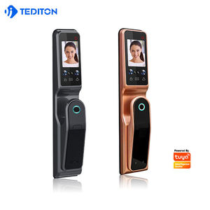 Tediton elektronik tuş takımı şifre kartı NFC 3D yüz tanıma dijital kamera ile akıllı kapı kilidi - Product Image 6