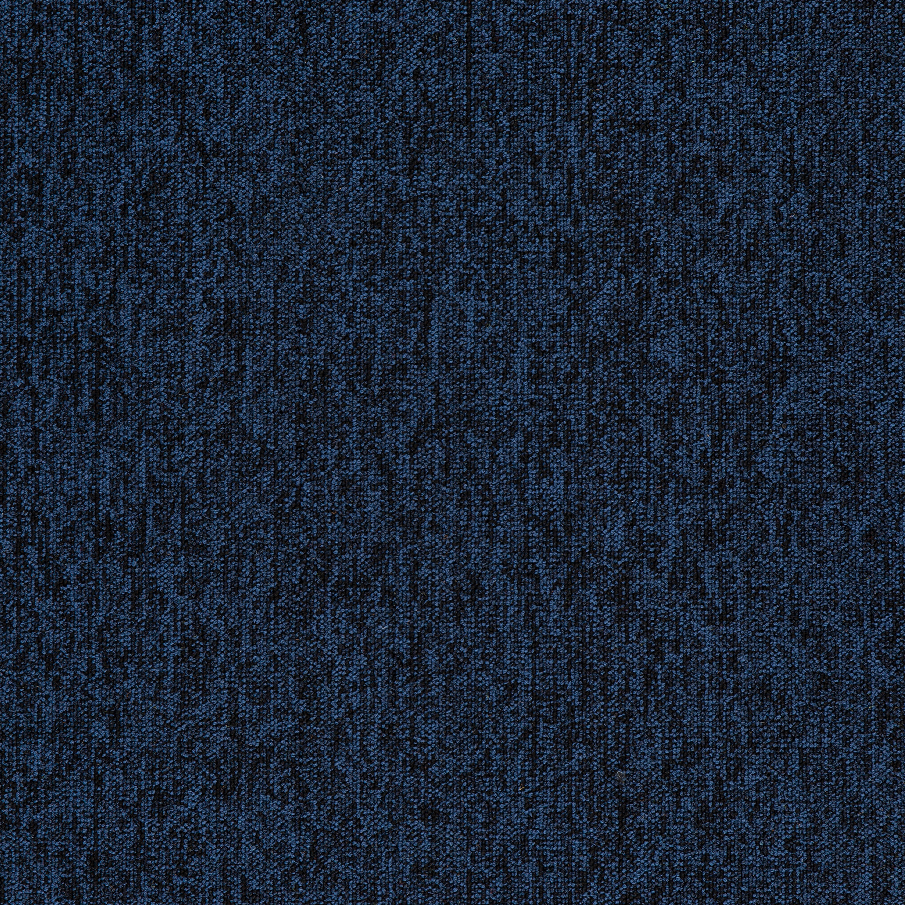 Bleu08
