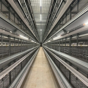 Büyük yumurta döşeme işlemleri için fabrika toptan H tipi katman pil tavuk kafesi - Product Image 2