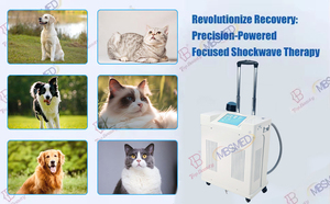 Focus Shockwave Fisioterapia Dispositivo Dor Relief Vet Pneumática Focada Eswt Shock Wave Therapy <span class=keywords><strong>Machine</strong></span> - Product Image 6