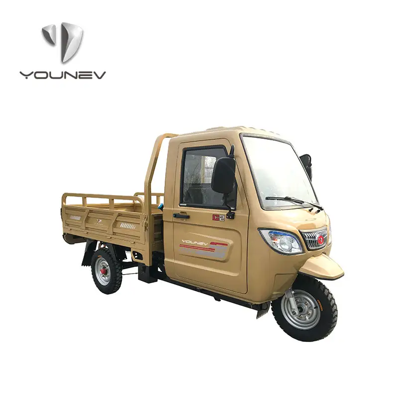 YOUNEV 250cc Wholesale high quality heavy load three wheel motorcycle gasoline engine cargo tricycle