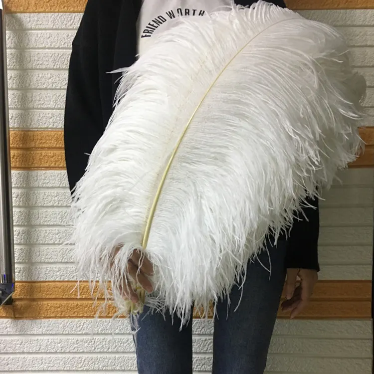 Plumas de avestruz para decoración de bodas, plumas de plume blancas/Rojas, precio barato, venta al por mayor