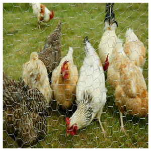 Hochwertiger Sechskant-PVC-beschichteter Wiremesh-verzinkter Maschendraht Sechseckiger Drahtgitter käfig - Product Image 5