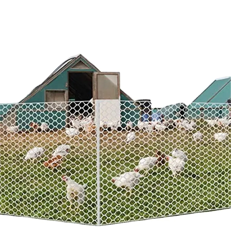 Plastic mesh plastic for poultry breeding