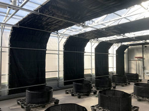 CHOYUEH автоматизированная Высокая тоннель затемнение света депривация грибов выращивание индивидуальная Автоматизация теплицы - Product Image 5