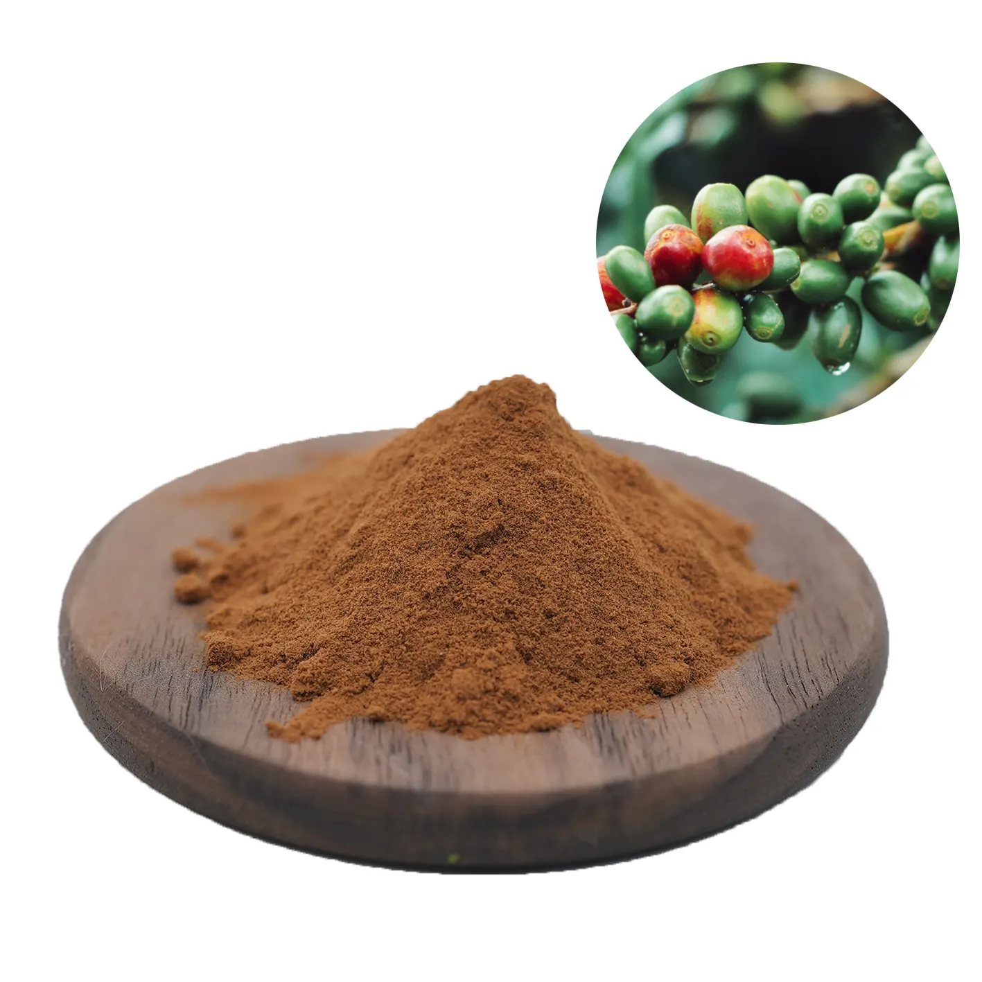 حبوب القهوة الخضراء الطبيعية المستخلصة من حمض الكلوروجين مسحوق بنسبة 60% مسحوق حبوب القهوة الخضراء