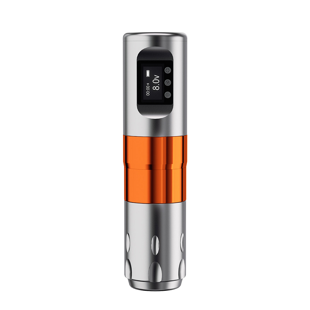 Double batterie gris