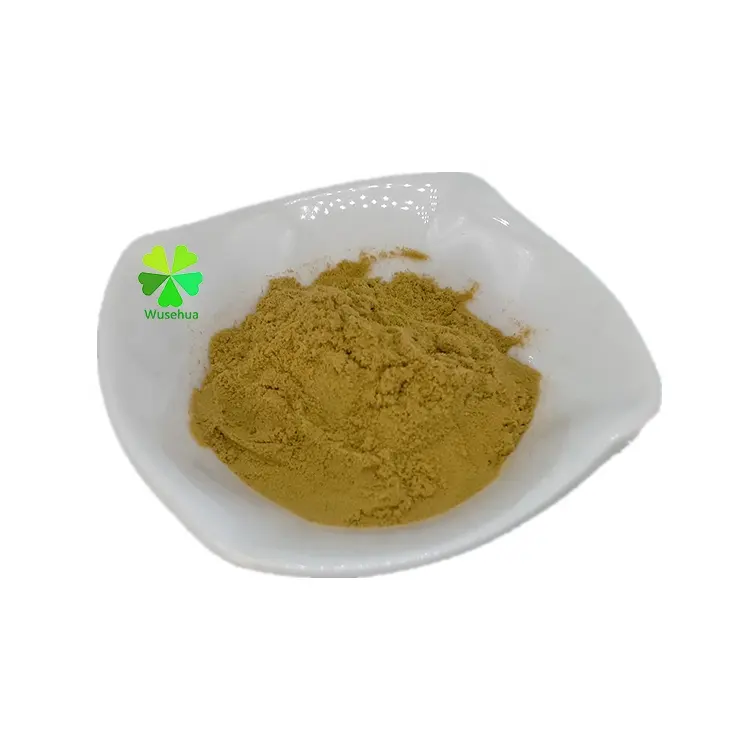 Rohstoffe 10:1 Ginkgo Biloba Blattex trakt pulver