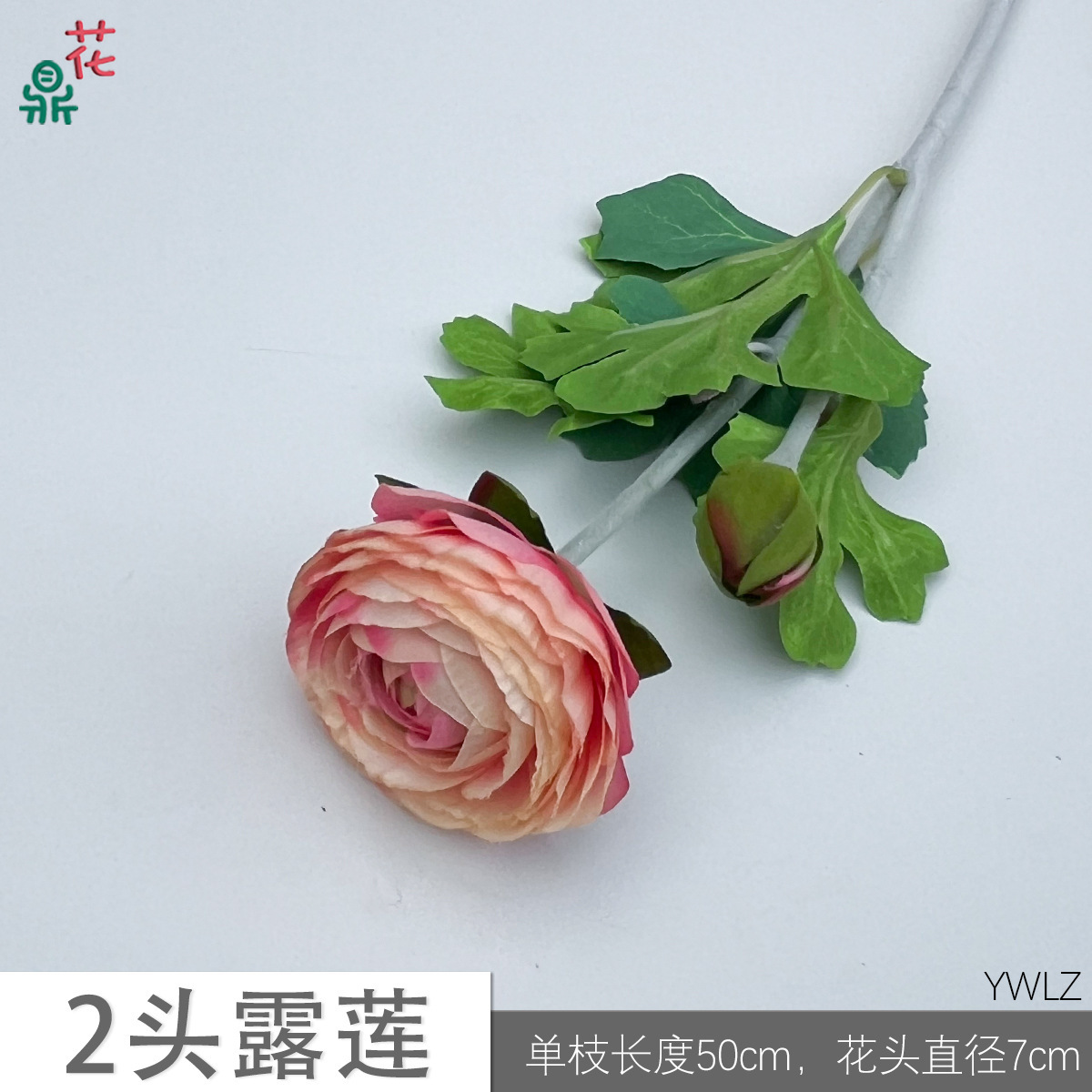 Lotus Rosé YWLZ à Deux Têtes