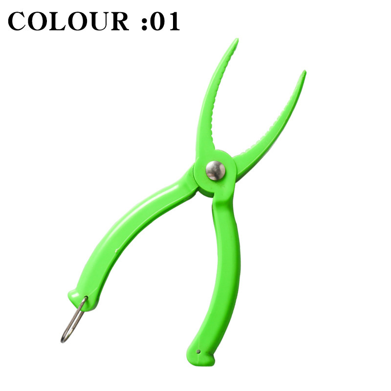 Vert