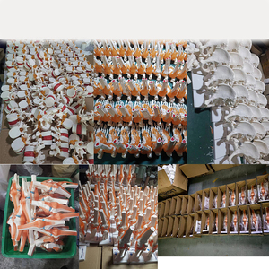 生産PVCハンドスケルトンモデル解剖学的ハンドジョイントカスタムメイド人工等身大人間のハンドジョイントモデルを教える - Product Image 3