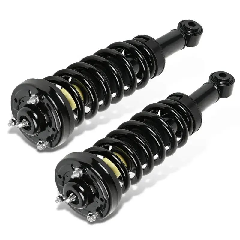 Front Strut and Spring Assembly 2PCS for 2014-2023 Ford F-150 4WD