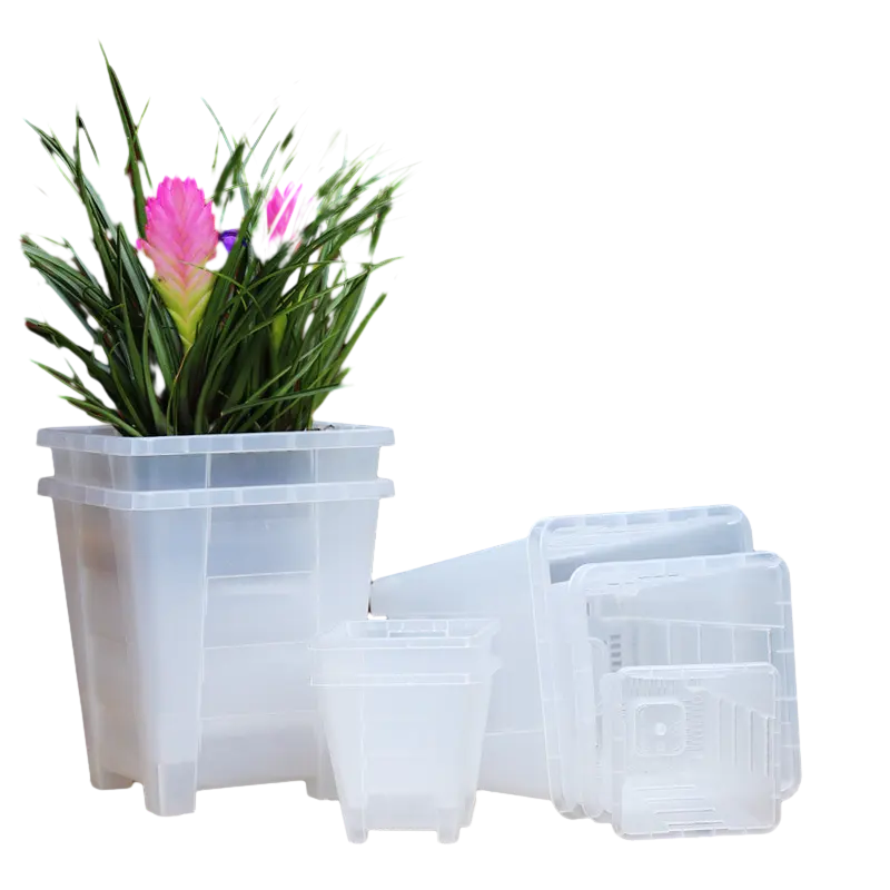 Piantatrice di orchidea quadrata in plastica con fori per il Repotting vaso per piante da fiore da esterno con intaglio traspirante per interni in vaso succulento