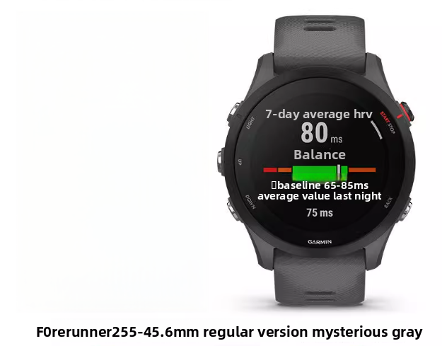 Forerunner 255 Mystic Gray