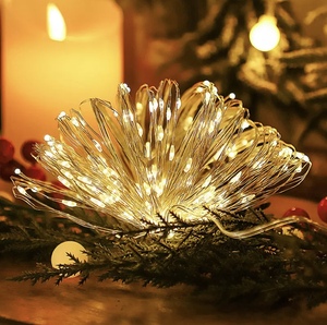 USB Powered kapalı LED dize işıklar bakır tel noel Garland peri işıklar ev yeni yıl cadılar bayramı süslemeleri için IP65 - Product Image 4