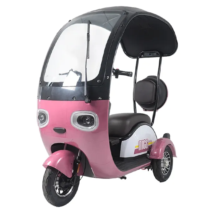 새로운 설계 전기 세발 자전거 500W 모터 60V 사용자 정의 성인 전기 3 륜 자동차 Tuktuk