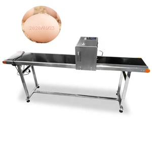 Niedriger Preis Eier Verfalls datum Druckmaschine/Eier behälter Druckmaschine/Eiercode Druckmaschine - Product Image 1