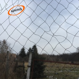 <strong>Bird</strong> Hunting Net /nylon <strong>Bird</strong> Mist Net/ <strong>Bird</strong> Catcher Bat Nets