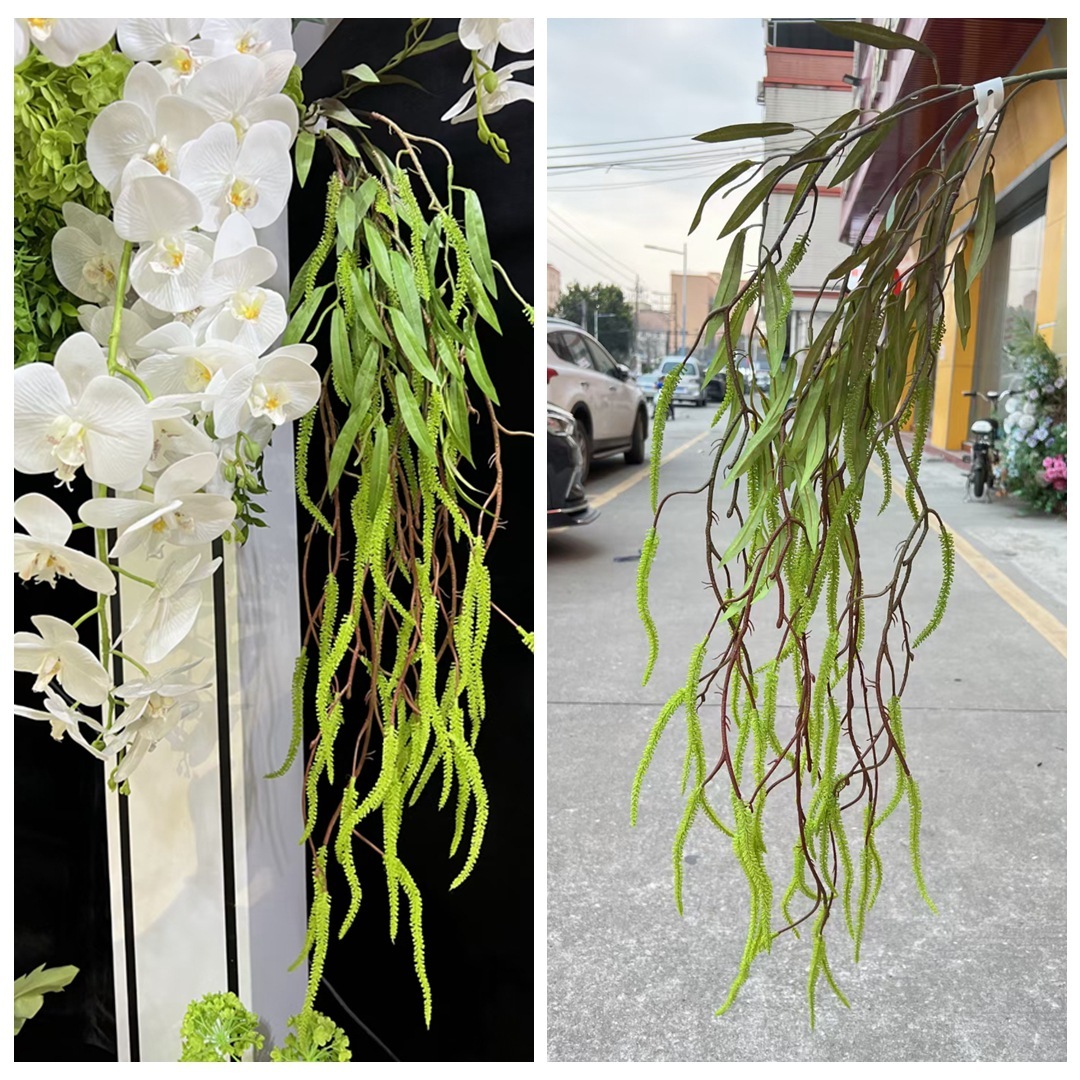 Hanging willow catkins-green
