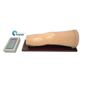 Advanced Electronic PVC Knee Joint Injection Manikin for Synovial Fluid Training Puncture <strong>Palpation</strong> Simulation Medical Science - Product Image 1