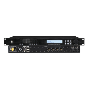 DSP24 Procesador de audio digital profesional de 2 entradas y 4 salidas Efectos de escenario Efectos KTV o sistema de sonido de Canto de karaoke - Product Image 6