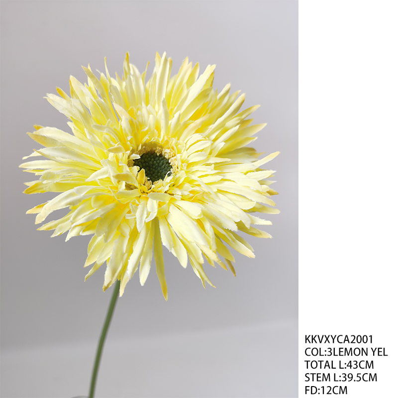 KKVXYCA2001_3LEMON YEL