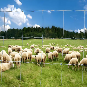 Pannelli di recinzione dell'azienda agricola in rete metallica saldata in acciaio zincato antiruggine per il bestiame e le custodie industriali di sicurezza - Product Image 2