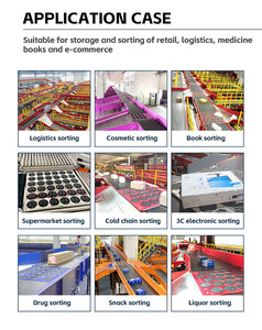 LUHUI sistema logistico automatico inclinato DWS interruttore ruota Sorter magazzino macchina di smistamento automatizzata per la consegna del magazzino - Product Image 6