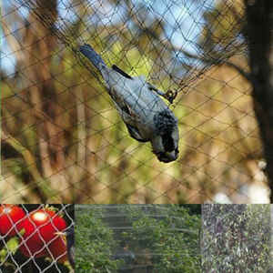 Mist <strong>Net</strong> Catching Bird Network Plastic Bird Capture <strong>Net</strong> <strong>Net</strong> to Catch Birds - Product Image 6
