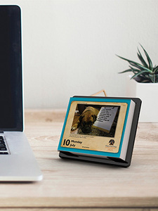 Giấy Hội Đồng Quản trị và Giá vẽ backer vui bàn hàng ngày lịch 365 ngày lịch đóng hộp lịch khẳng định với xé ra trang - Product Image 3