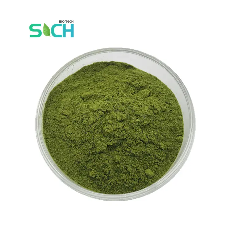 Poudre de légume vert naturel standard de haute qualité poudre d'extrait d'épinards poudre d'épinards