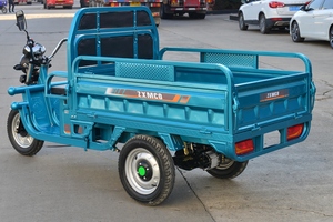 Sıcak satış EEC üç tekerlekli motosiklet motorlu powered 1500w 60v trike motosikletler <span class=keywords><strong>laod</strong></span> 400kg kargo üç tekerlekli bisikletler